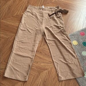 High Waisted Tie Side Invisible Zipper Wide Leg Work Pants